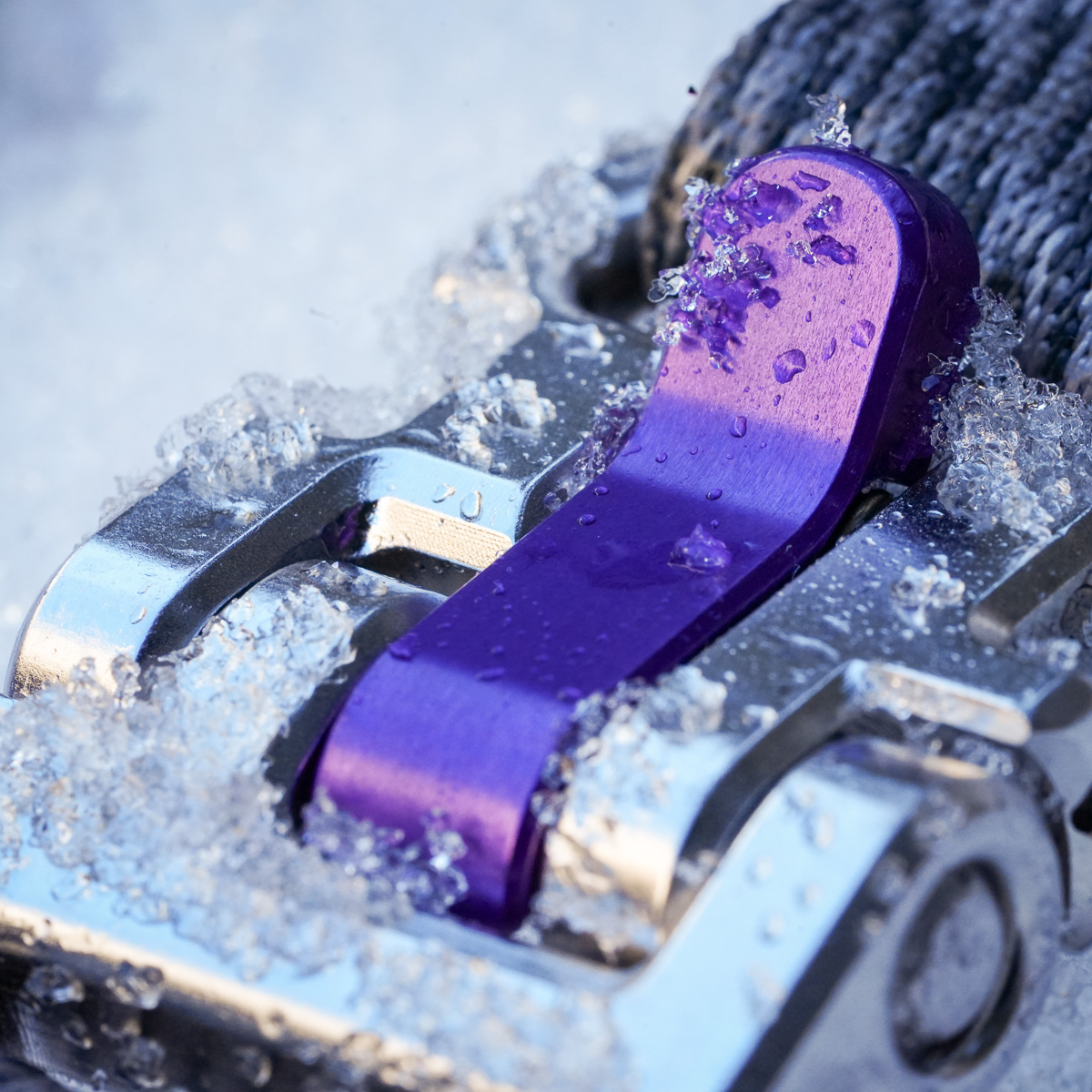 Zumi Orca Buckle in the snow