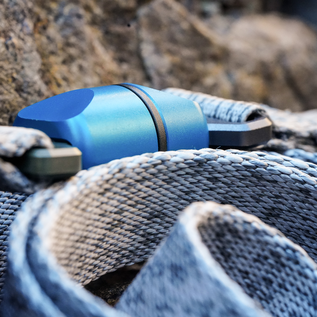 Zumi Leash and Swivel in blue