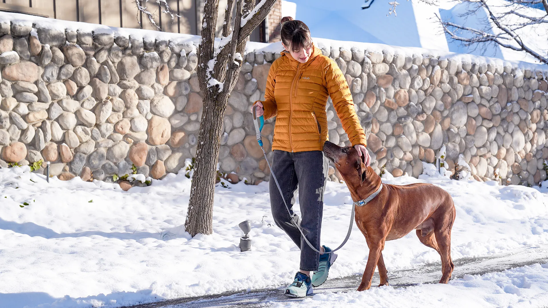A woman in a bright mustard-yellow puffer jacket and dark jeans walks a Rhodesian Ridgeback on a leash along a cleared snowy path. She is smiling and gently patting the dog's head as it looks up at her. In the background, there is a snow-covered stone wall, a bare tree, and a bright, sunny winter landscape.
